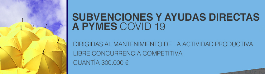 AYUDAS COVID 19