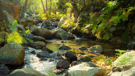 Guía Completa SENDERO GARGANTA DEL CAPITÁN