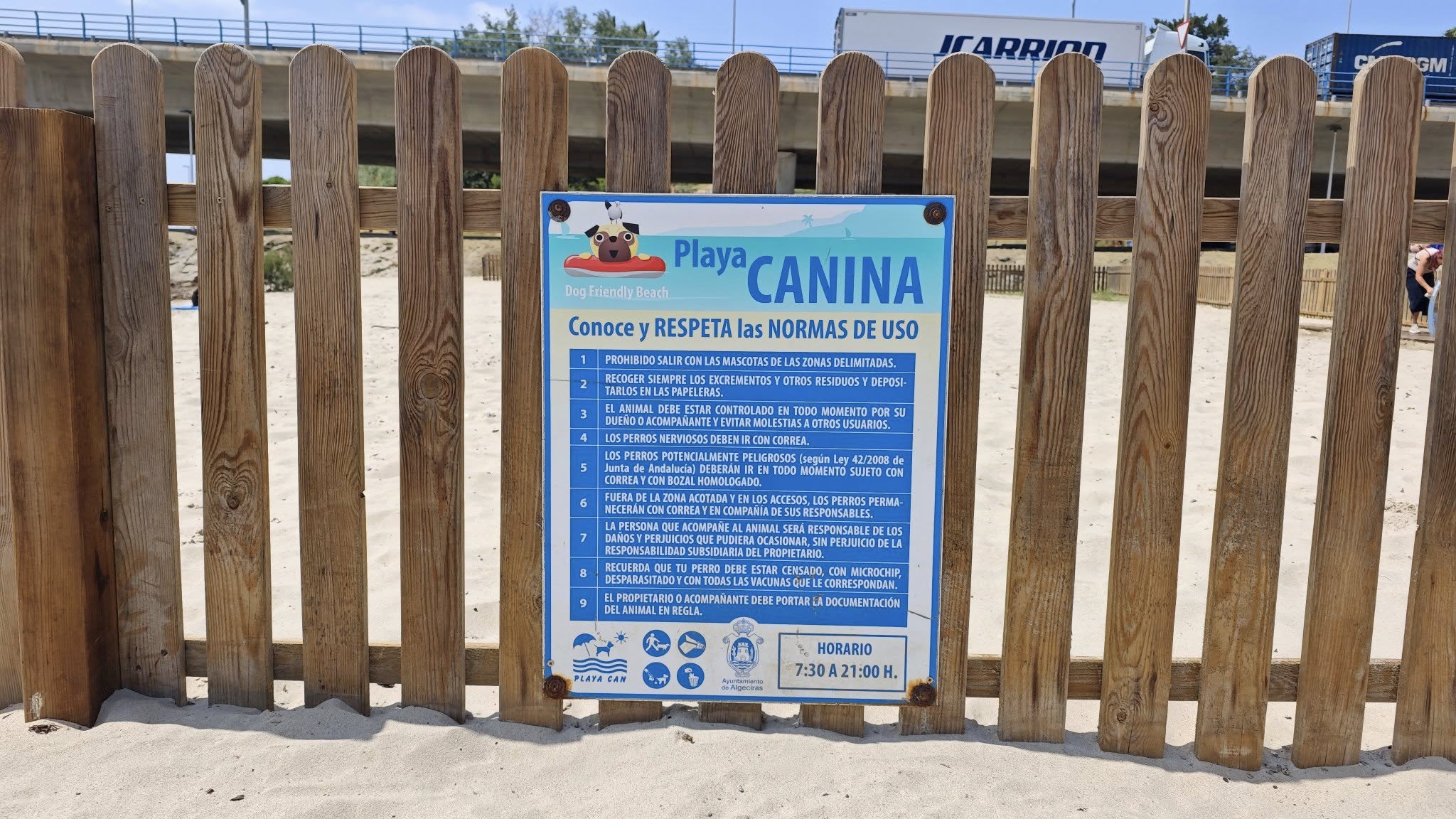 canina 3