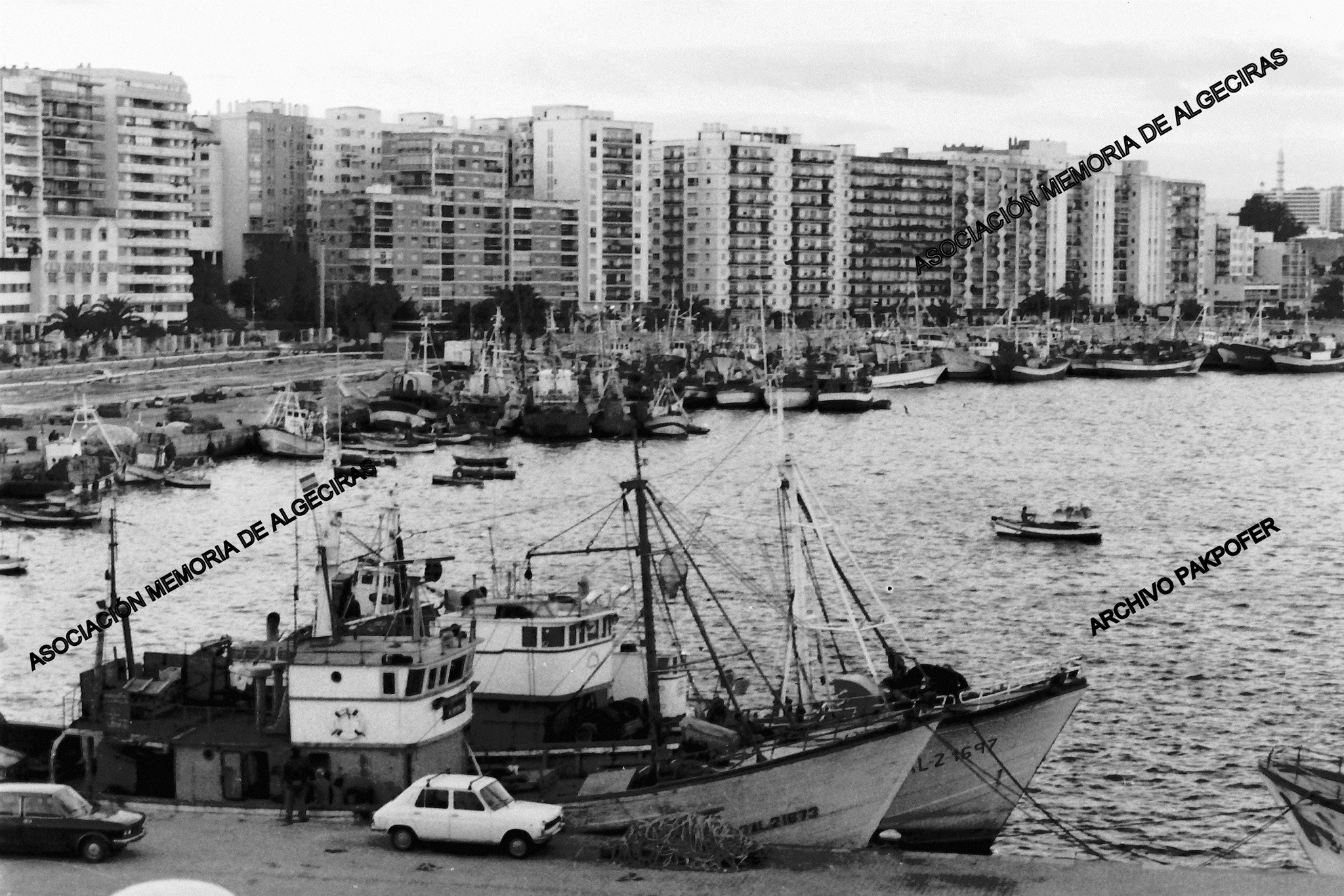 380211476_803595811766565_8501740495641612872_n