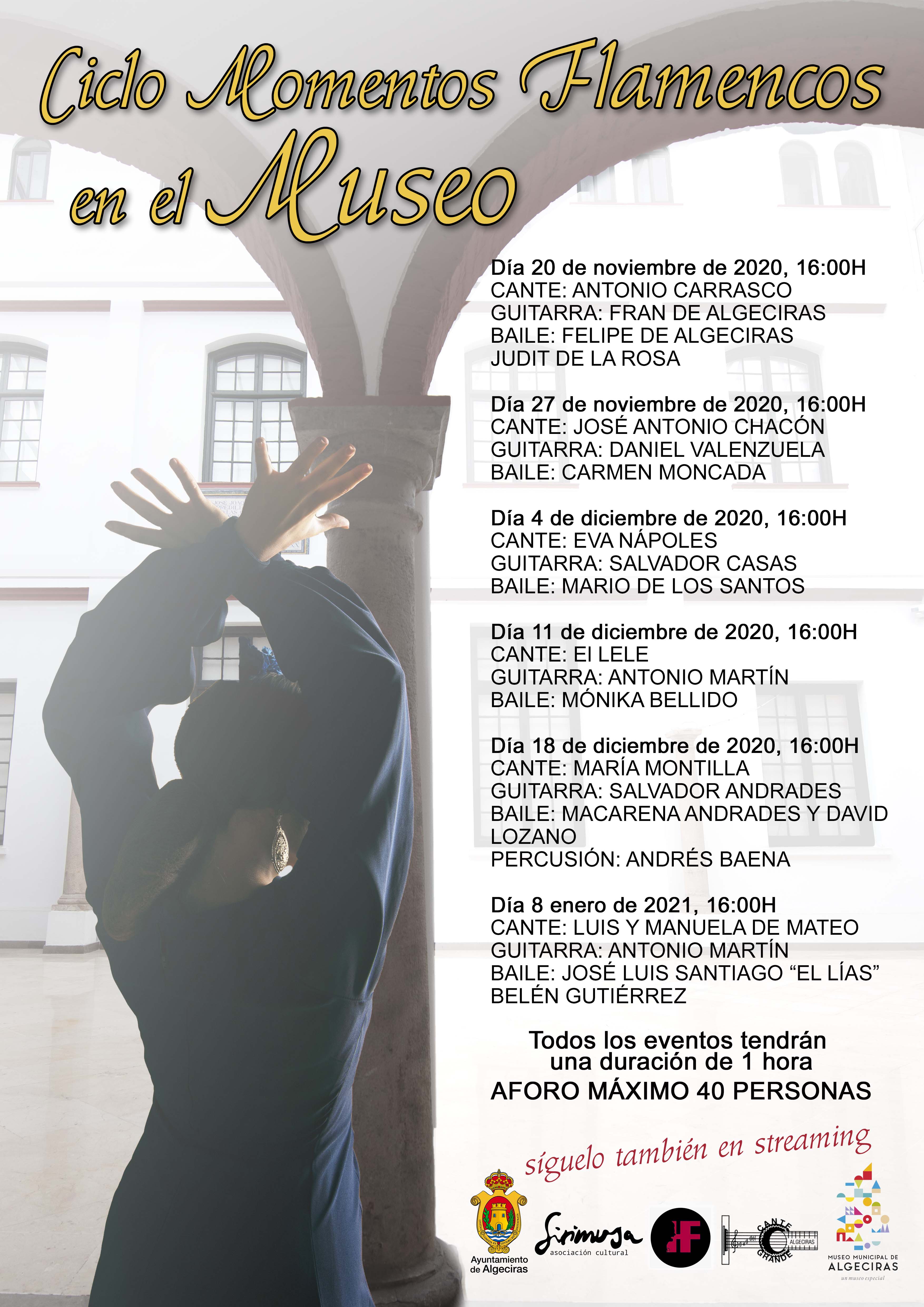 CICLO FLAMENCO MUSEO WEB
