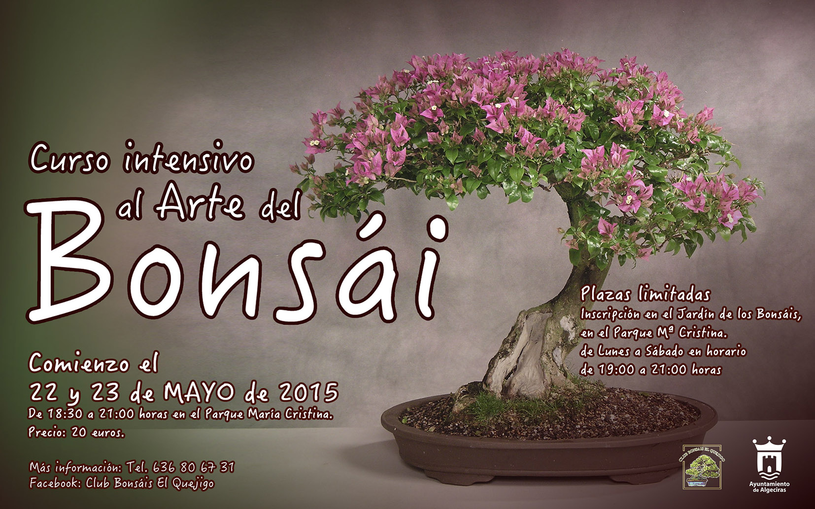 Curso intensivo Bonsai 2015