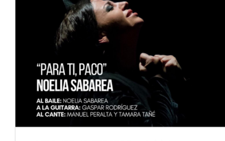 Captura de pantalla (607)