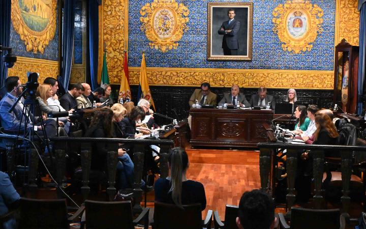 PLENO ORDINARIO