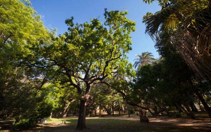 Parque de las Acacias