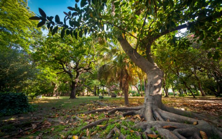 Parque de las Acacias