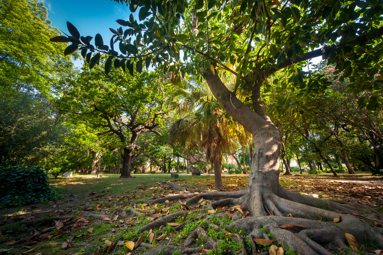 Parque de las Acacias