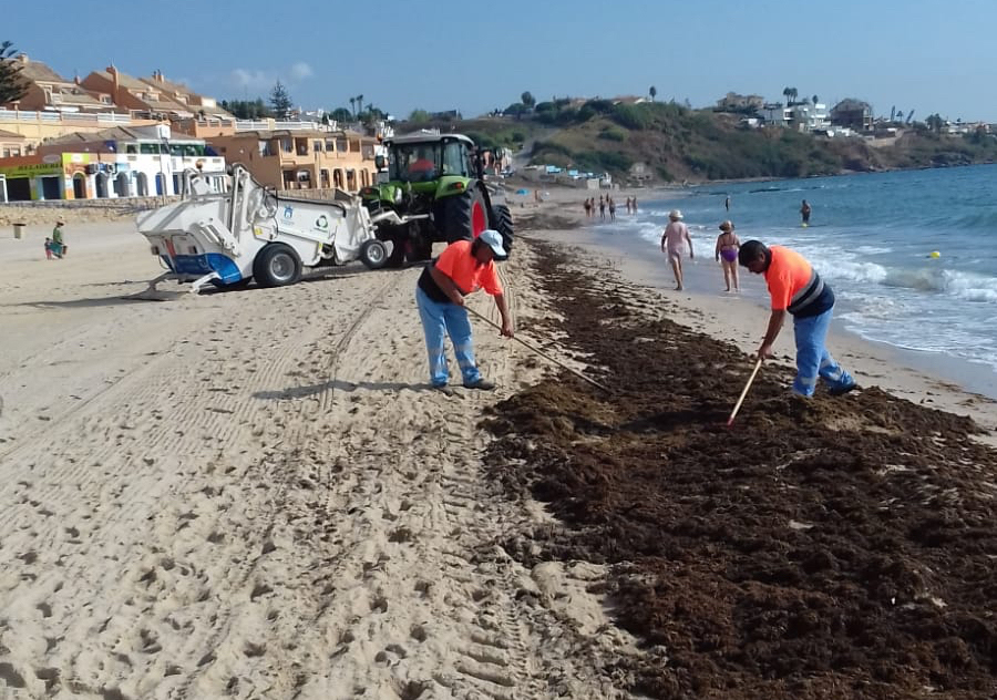 1-LIMPIEZA PLAYAS ALGA 01