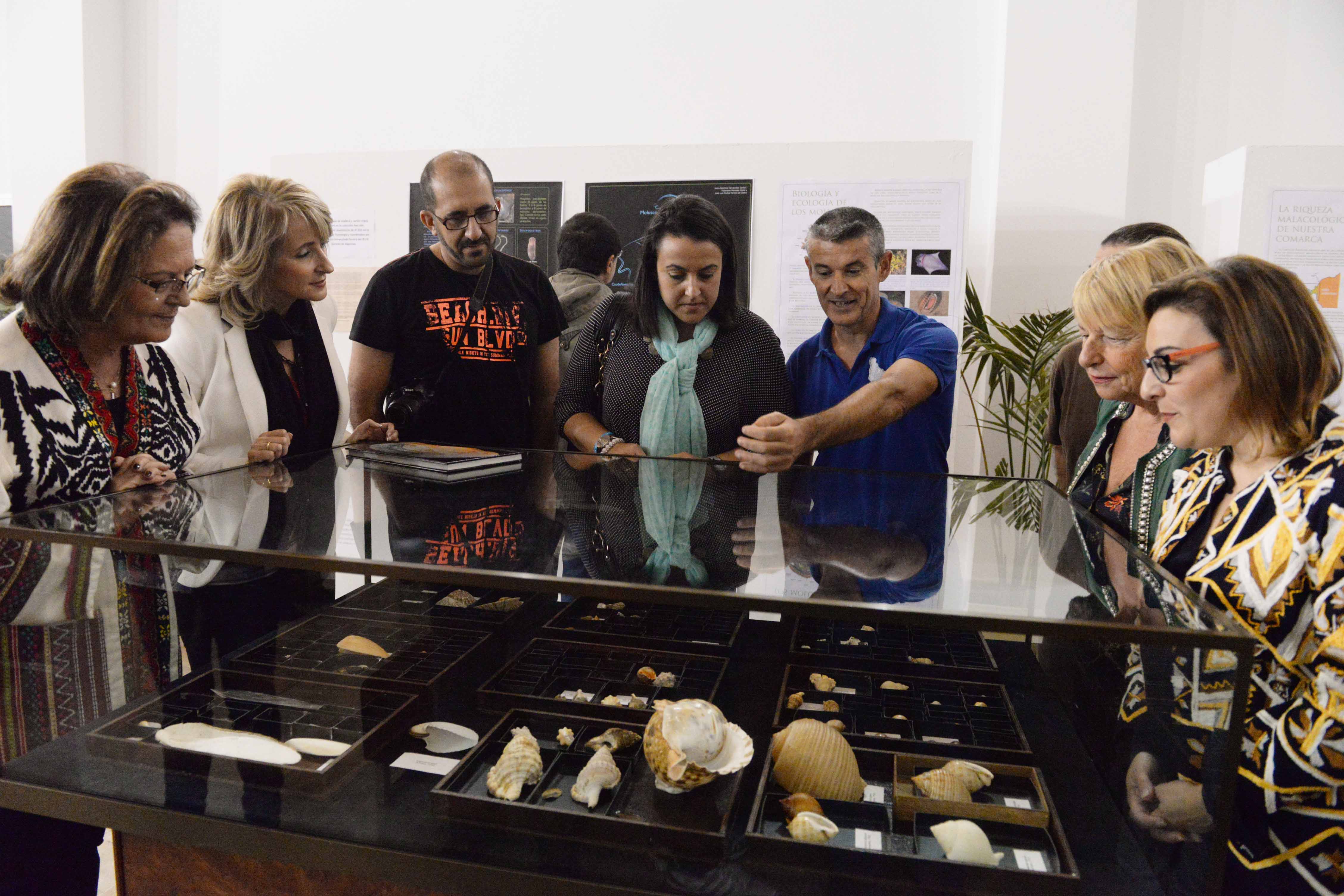 BIBLIOTECA EXPOSICION DE CONCHAS MARINAS
