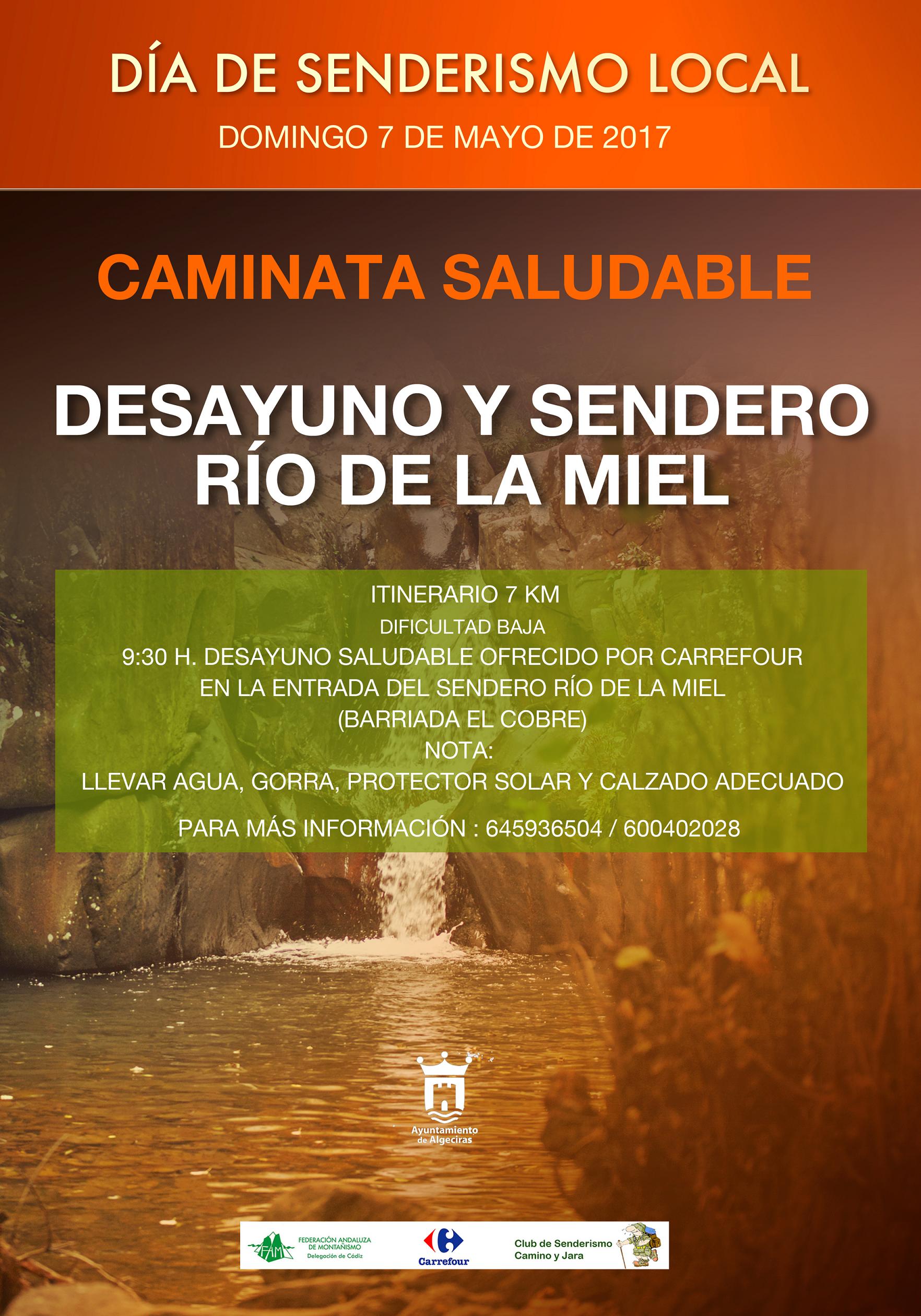 CAMINATA SALUDABLE 2017