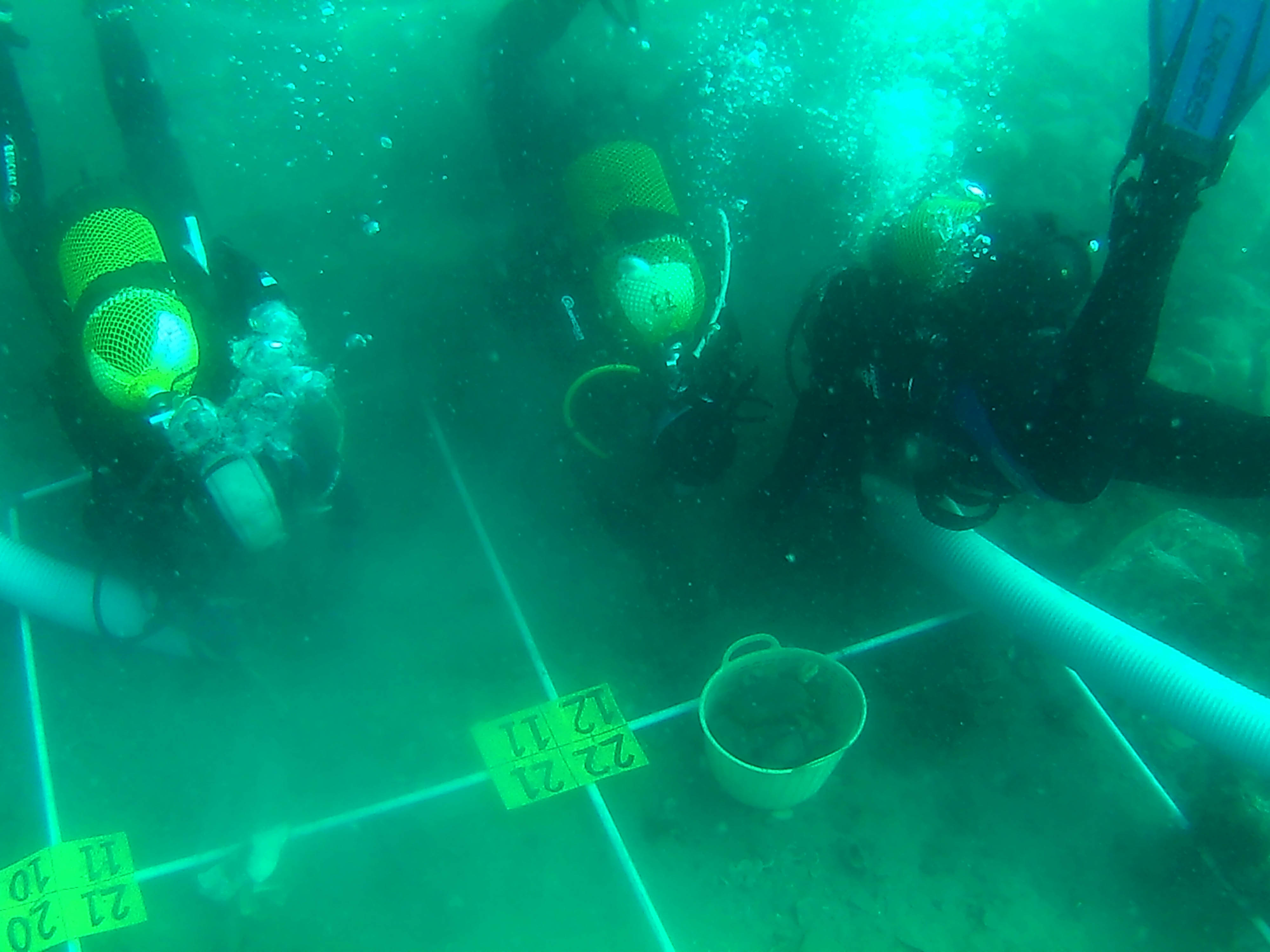 EXCAVACION SUBMARINA(1)