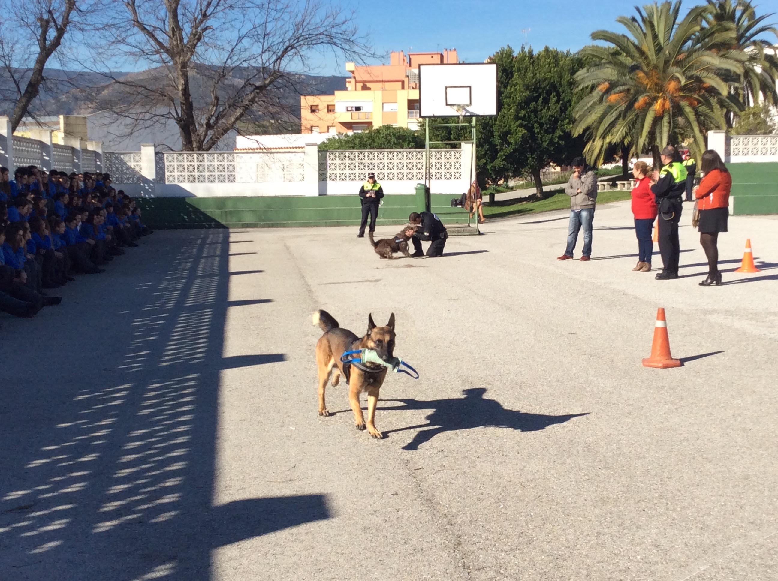 EXHIBICION UNIDAD CANINA