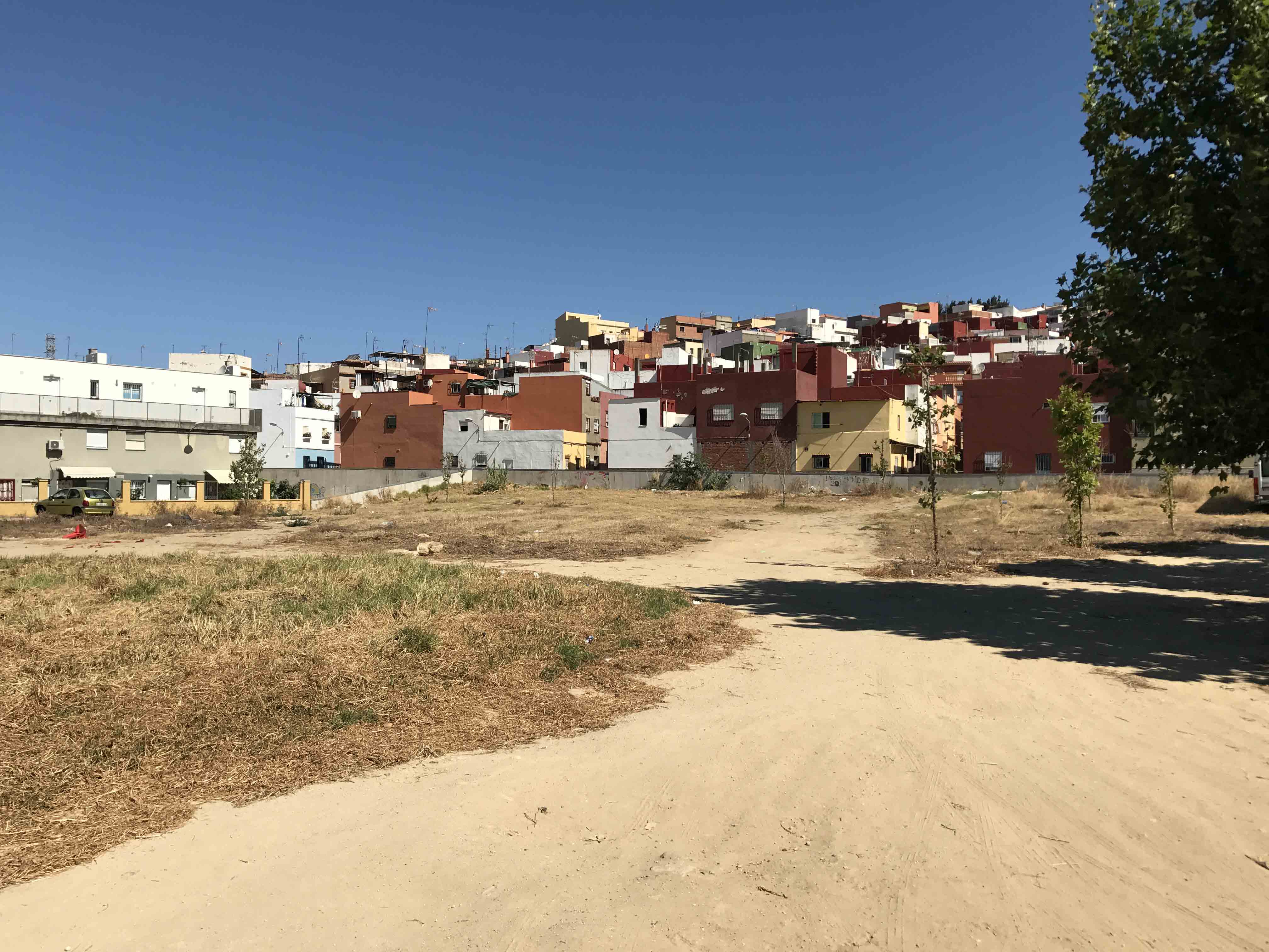 LIMPIEZA HUERTA SILES