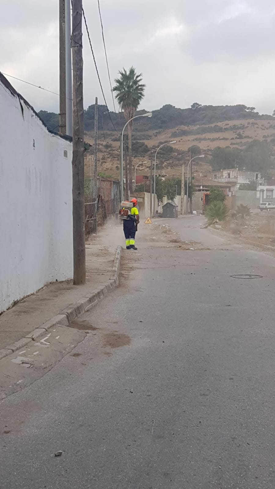 LIMPIEZA PAJARETE