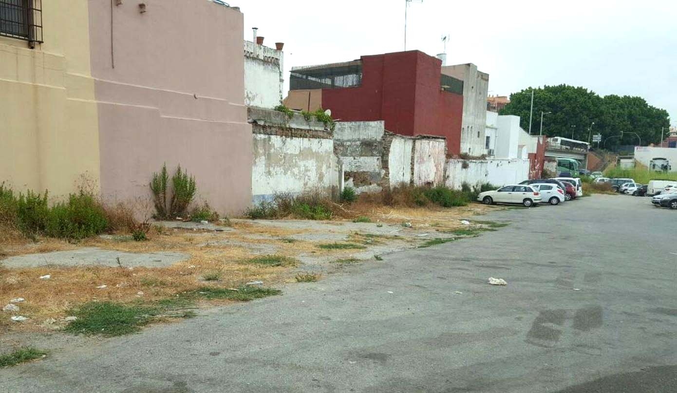 Limpieza Carteya