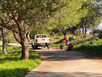 PARQUE TORREJON