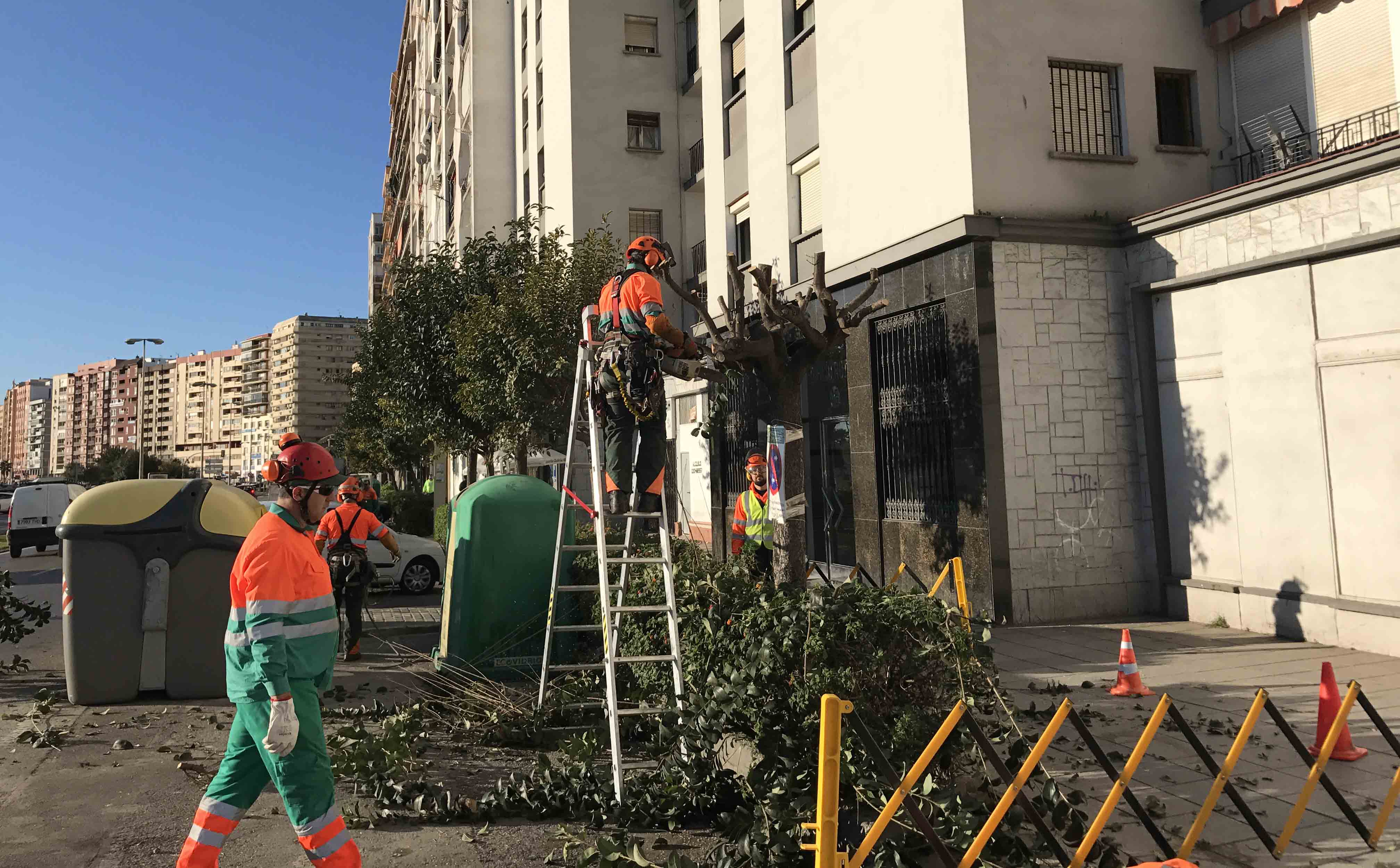 PARQUES Y JARDINES