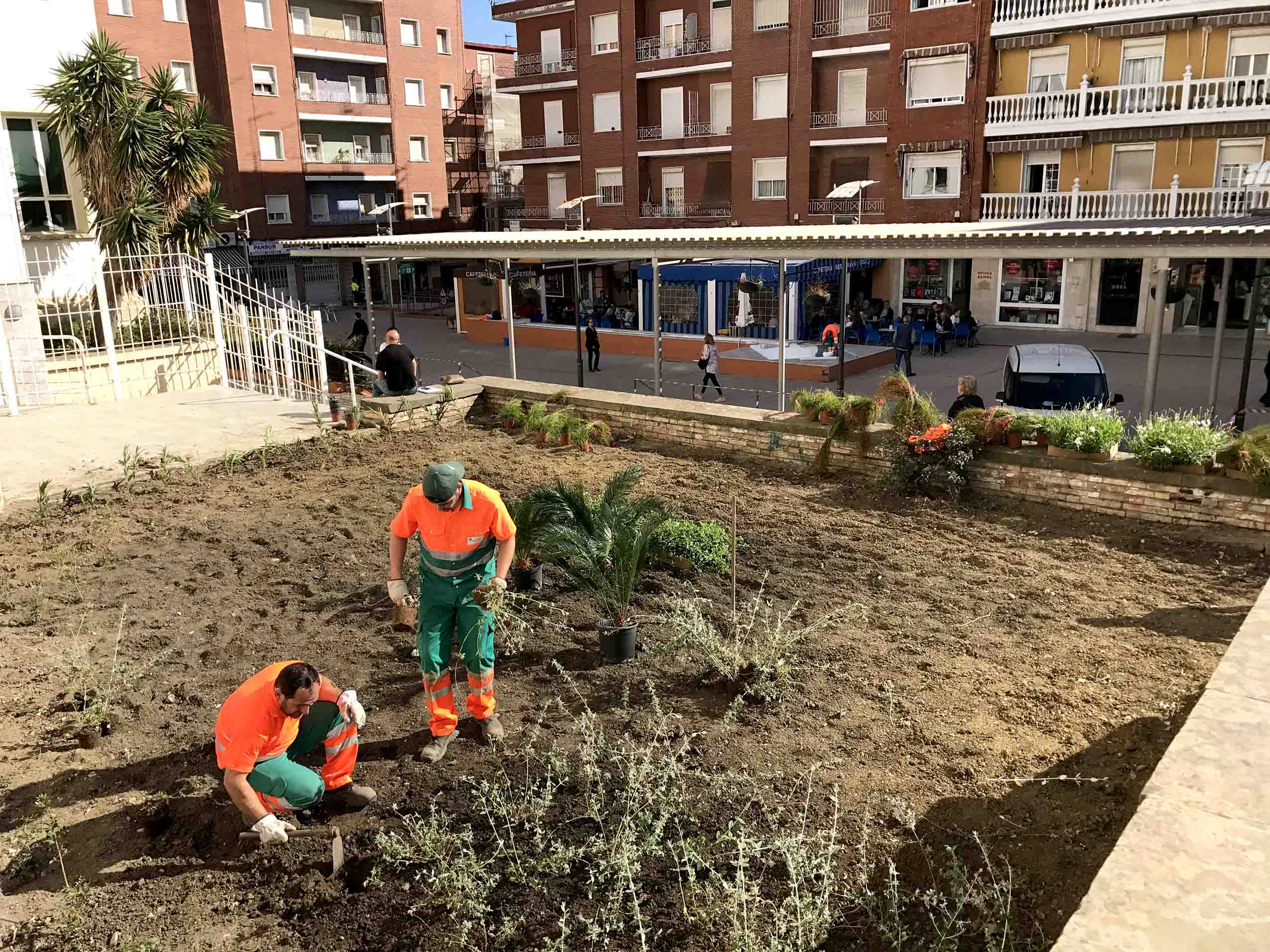 PLANTACIÓN MENÉNDEZ TOLOSA