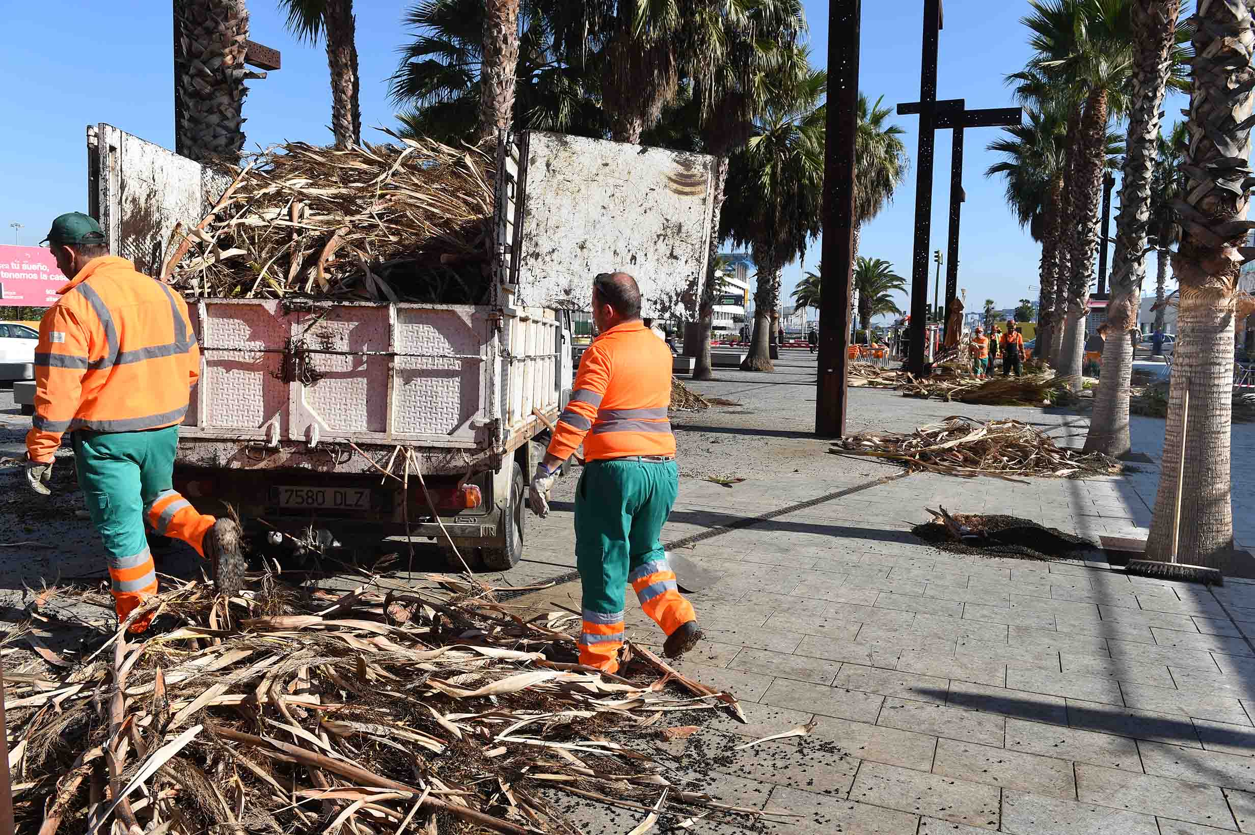 PODA DE PALMERAS EN EL PASEO DEL RIO DE LA MIEL