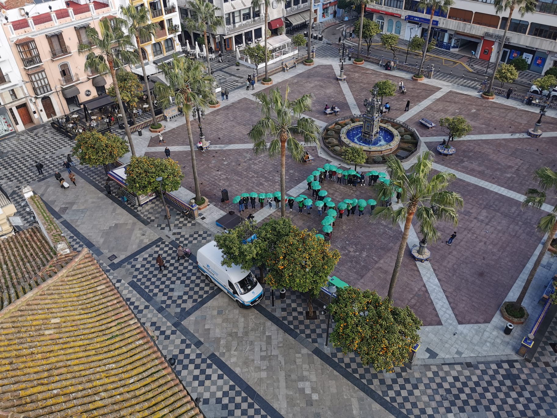 lazo verde aecc