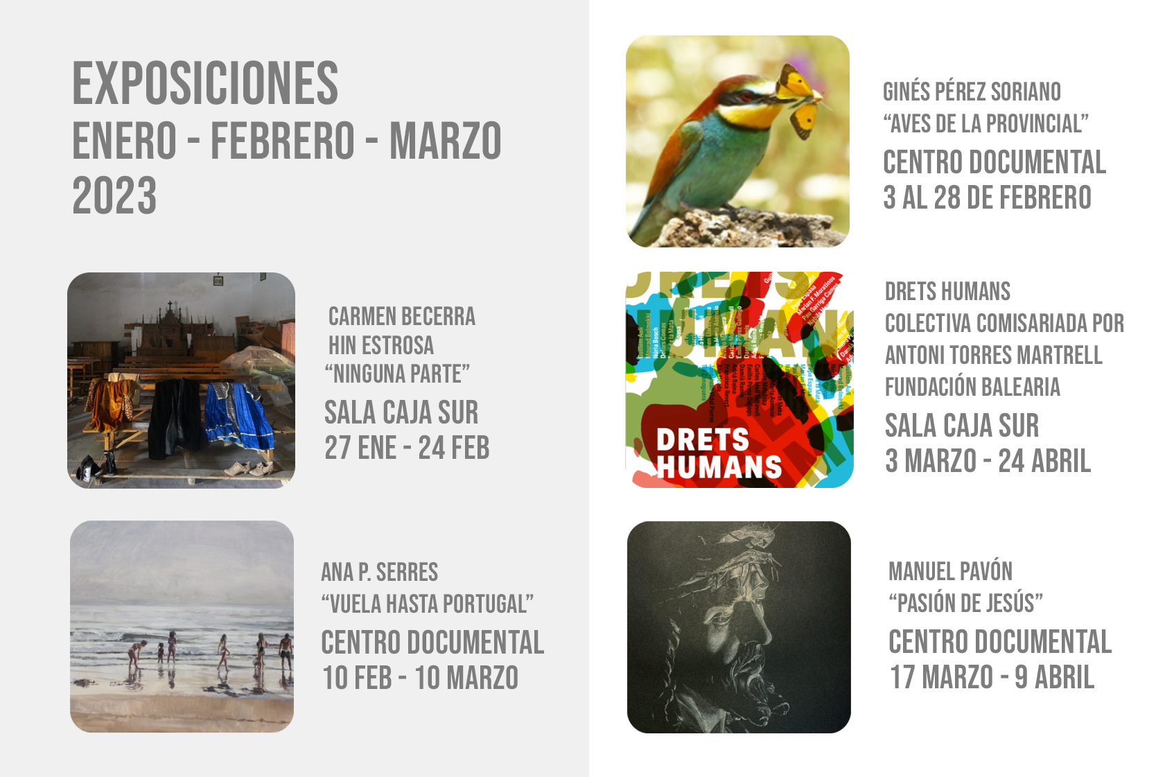 banner exposiciones