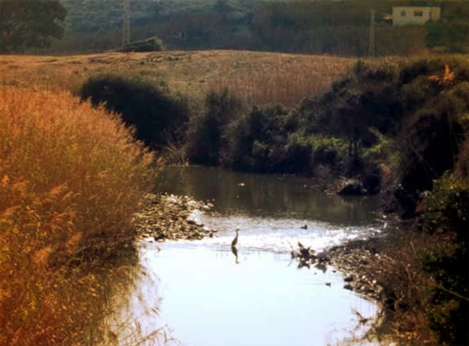 Guía Completa SENDERO RÍO PÍCARO