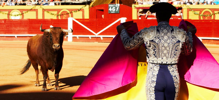 Plaza de Toros de Las Palomas